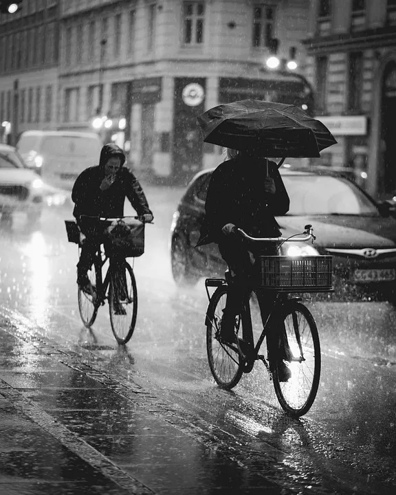 Entdecke die 7 schönsten Fahrradwege in Rheinland-Pfalz!