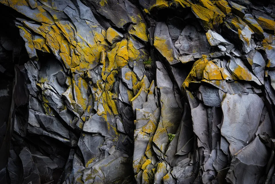 Entdecke die Geheimnisse der Steine: Geologie-Event im Müritzeum!