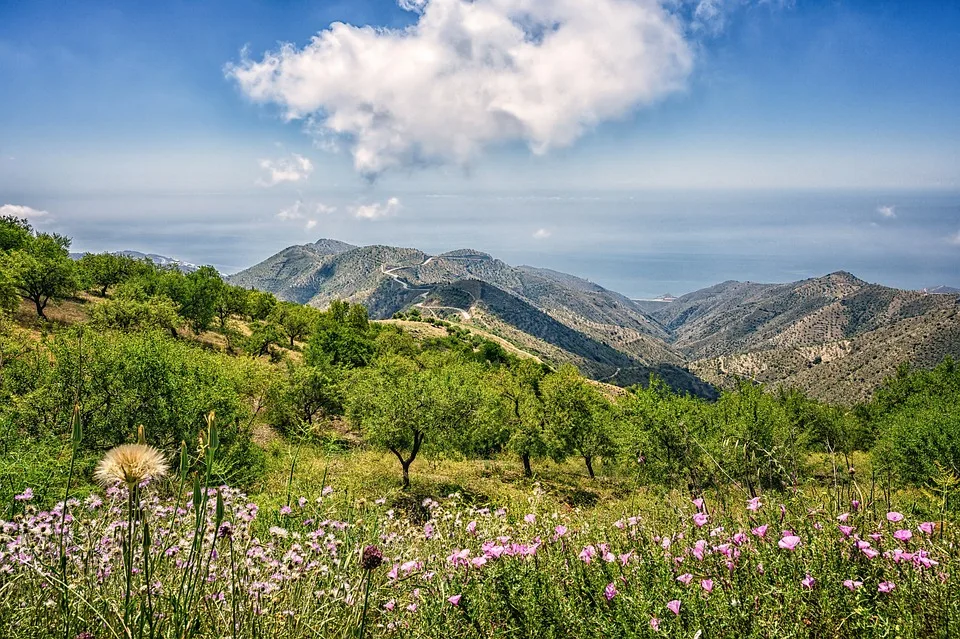 Entdecken Sie Andalusiens versteckte Schätze auf der Via Verde!