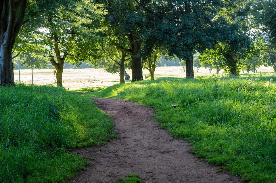 Erster Parkrun in Norderstedt: Gemeinsam laufen, Spaß haben!