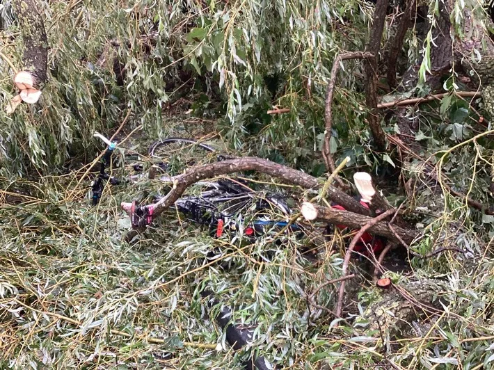 Fahrradfahrer in Bergisch Gladbach: Glück im Unglück nach Baumunfall