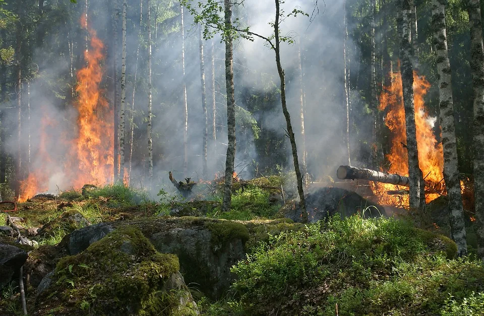 Flammeninferno bedroht Trabuco Canyon: Feuerwehr im Dauereinsatz!