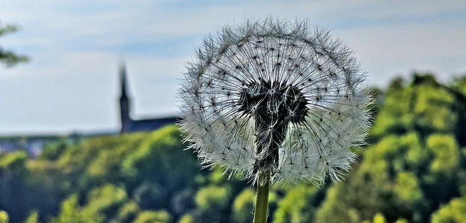 Fotowettbewerb: Ihre schönsten Pfalz-Motive für den Wochenblatt-Kalender!