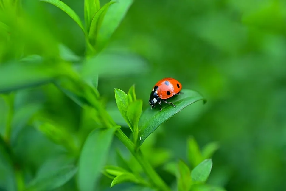 Foxconn erhält Red Dot Award für innovative ESG-Plattform zur Nachhaltigkeit