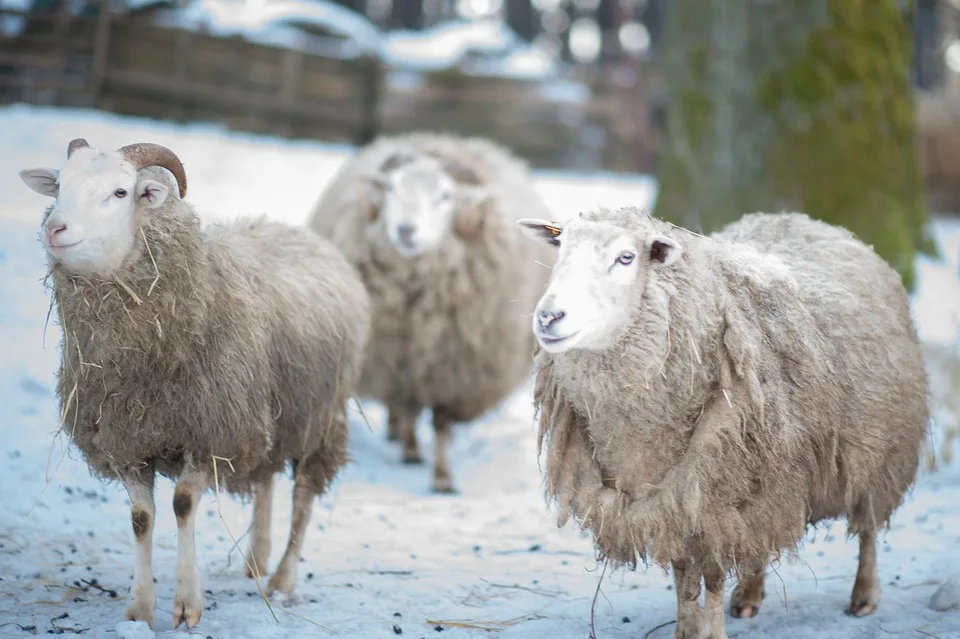 Fuldaer Wirtschaftstag: Tradition und Transformation gefeiert