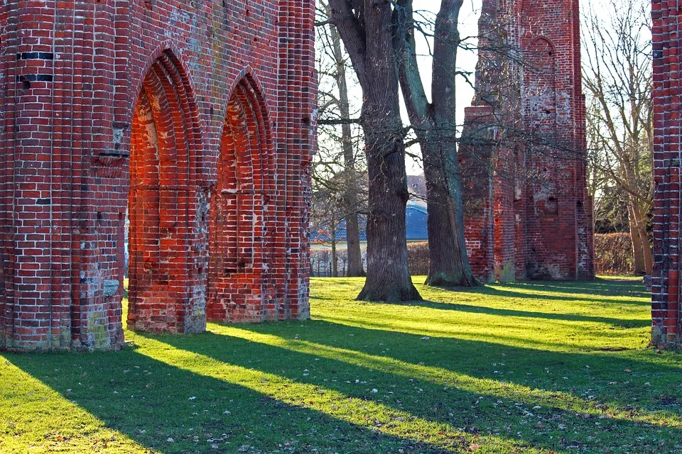 Greifswald: Droht dem ersten Cannabis-Anbauverein das Aus?