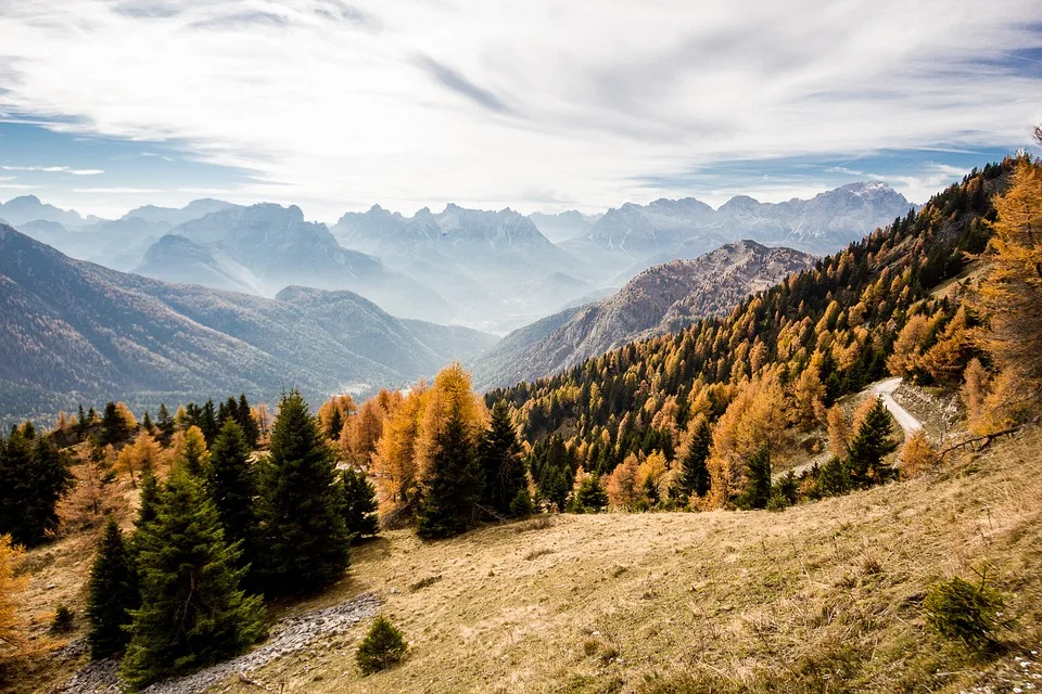 Griesheim bereitet sich auf den beliebten Herbst-Kindersachenbasar vor!