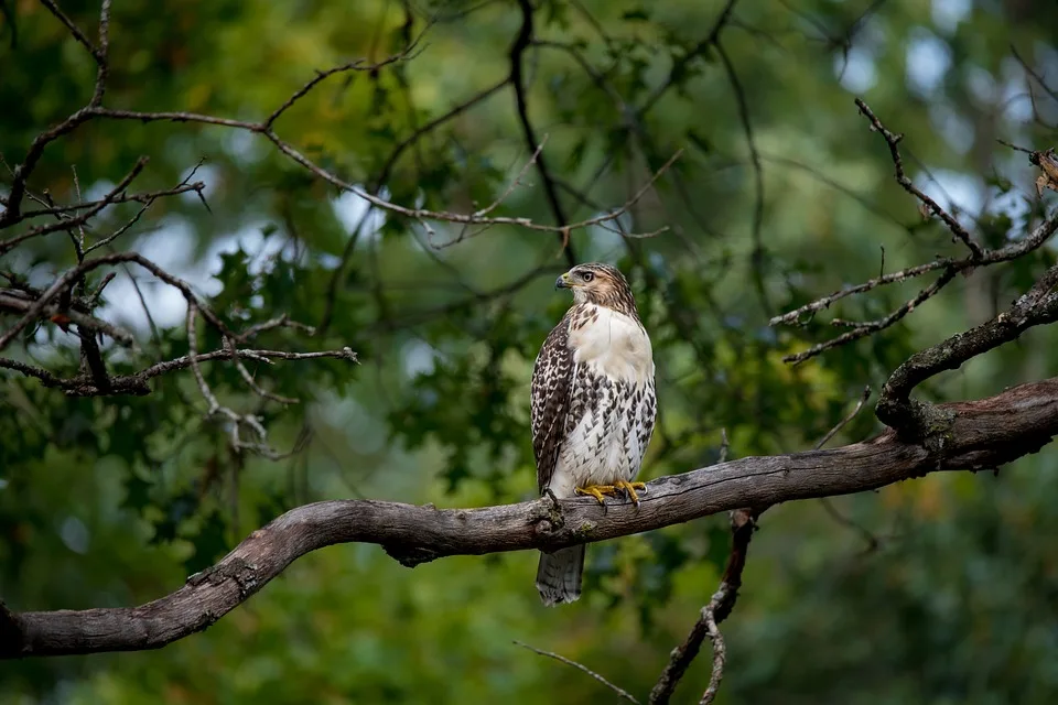 HAWK fördert akademischen Nachwuchs im Gesundheitswesen mit Promotionskolleg