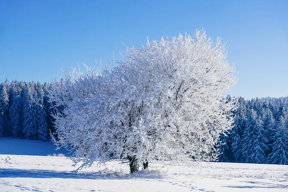 Heftiger Wintereinbruch: 1,80 Meter Schnee drohen im Bergland!