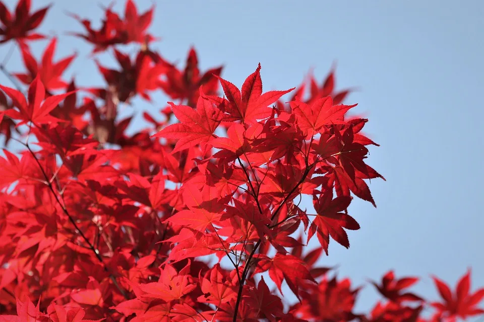 Herbst beginnt: Kühl, regnerisch und stürmisch – Was uns erwartet!