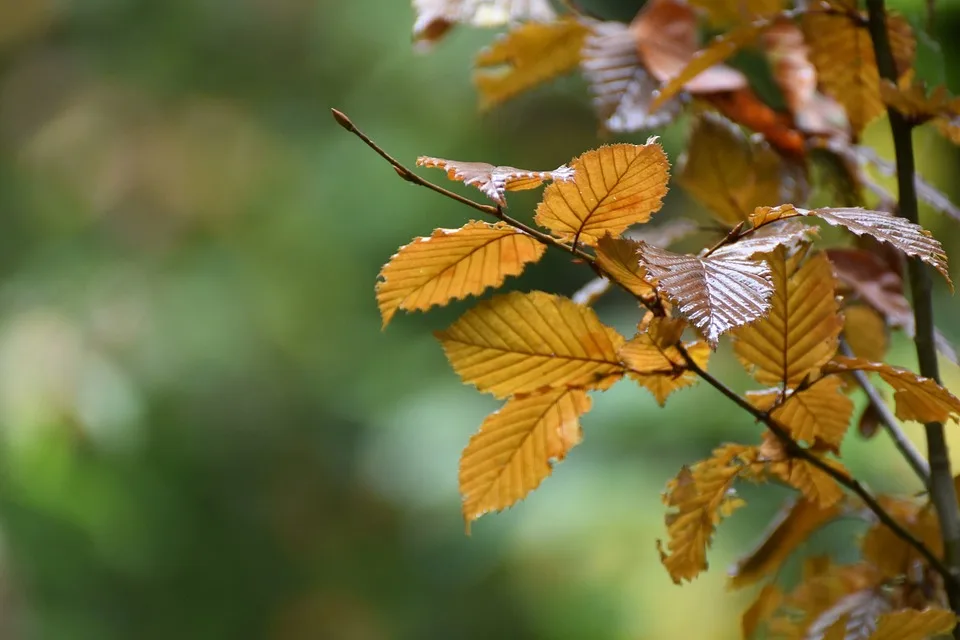 Herbstbelebung in Hamm: Arbeitslosenquote sinkt auf 8,3 Prozent!