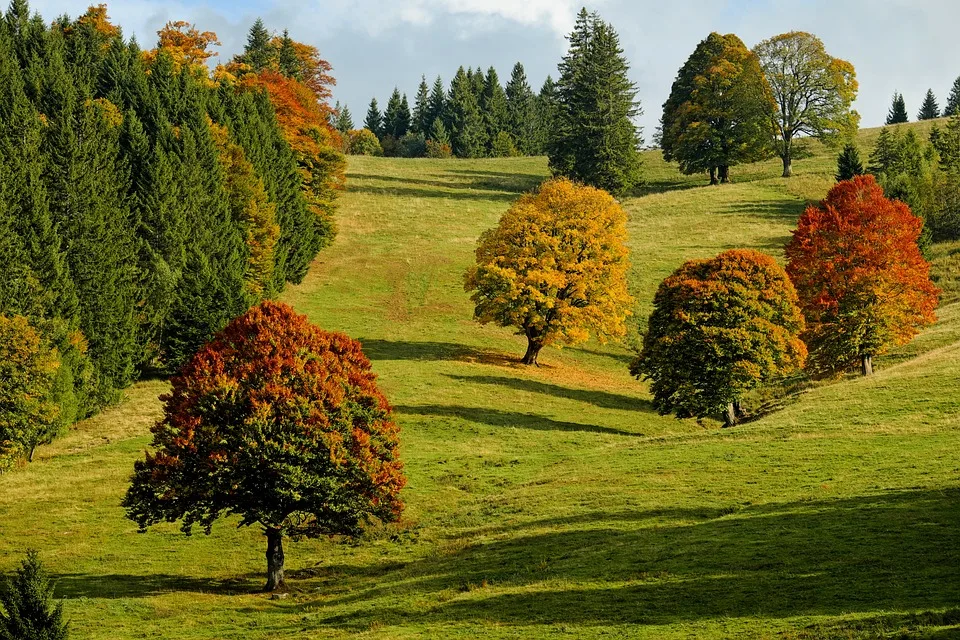 Herbstfreizeit von „Treff 81“: Ein unvergessliches Abenteuer im Saarland!