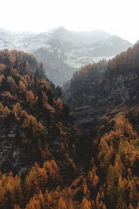 Herbstliche Erlebnisse in Prien: Wanderungen und Schmankerl-Touren