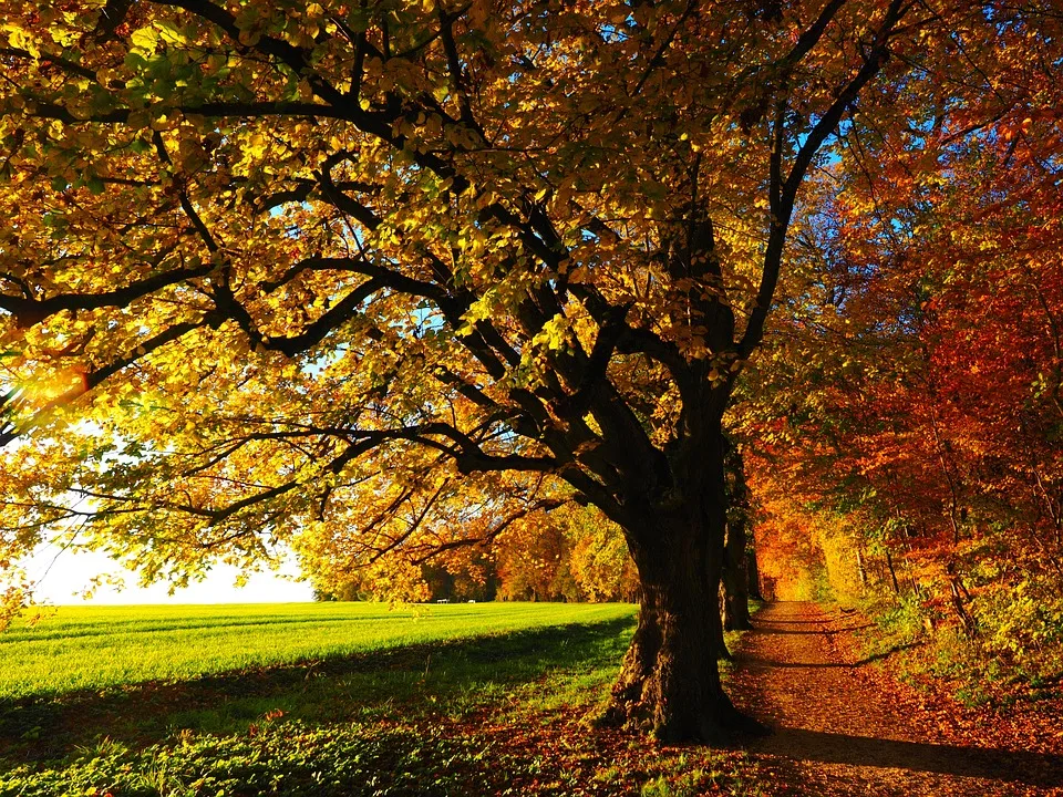 Herbstlicher Schock: Kommt der Sommer zurück nach Deutschland?