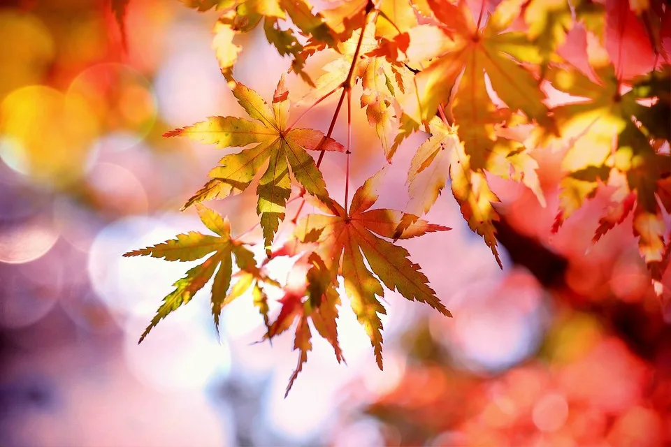 Herbststurm bringt Kälte und Schnee: Bayern muss zittern!