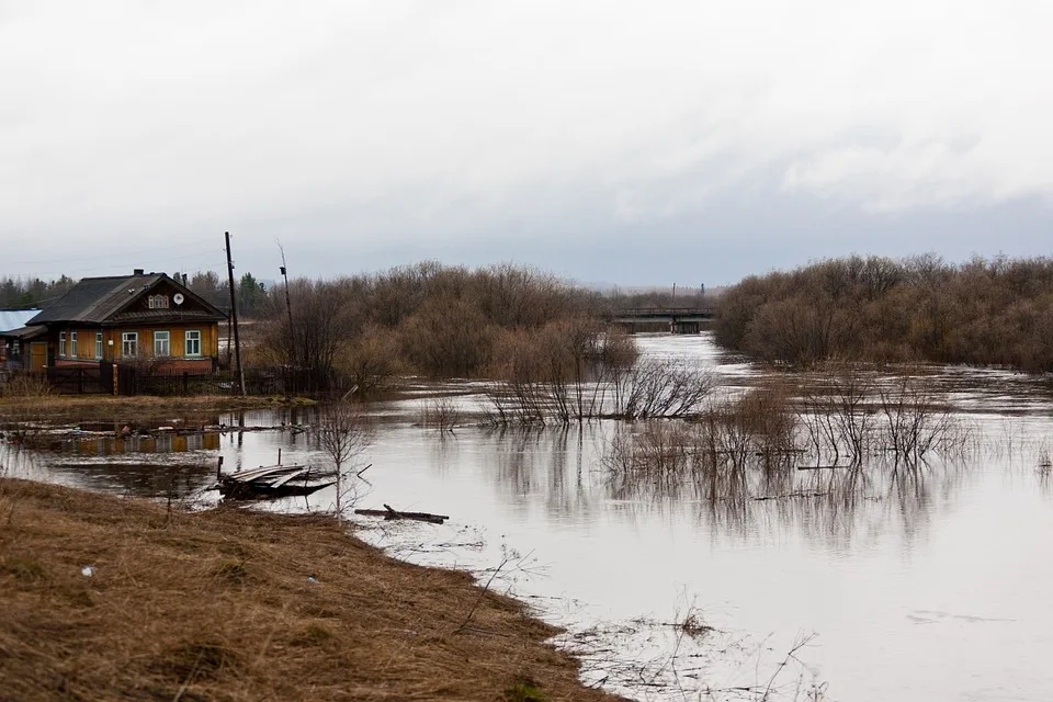 Hochwasser-Dramatik in Dresden: Warnstufe 3 droht!