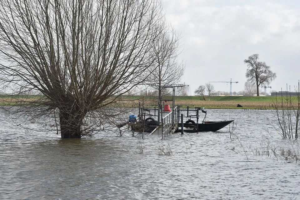 Hochwasser in Sachsen-Anhalt: Elbe erreicht Scheitel, Entspannung naht!