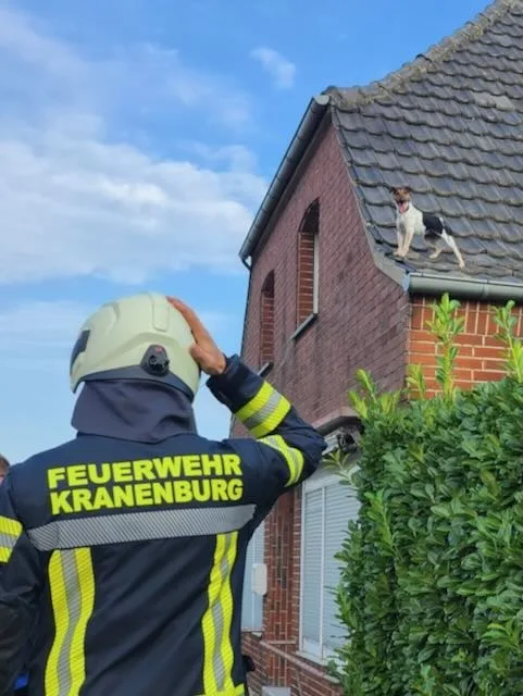 Hund vom Dach gerettet: Feuerwehr verhindert Wasserschaden in Kranenburg!