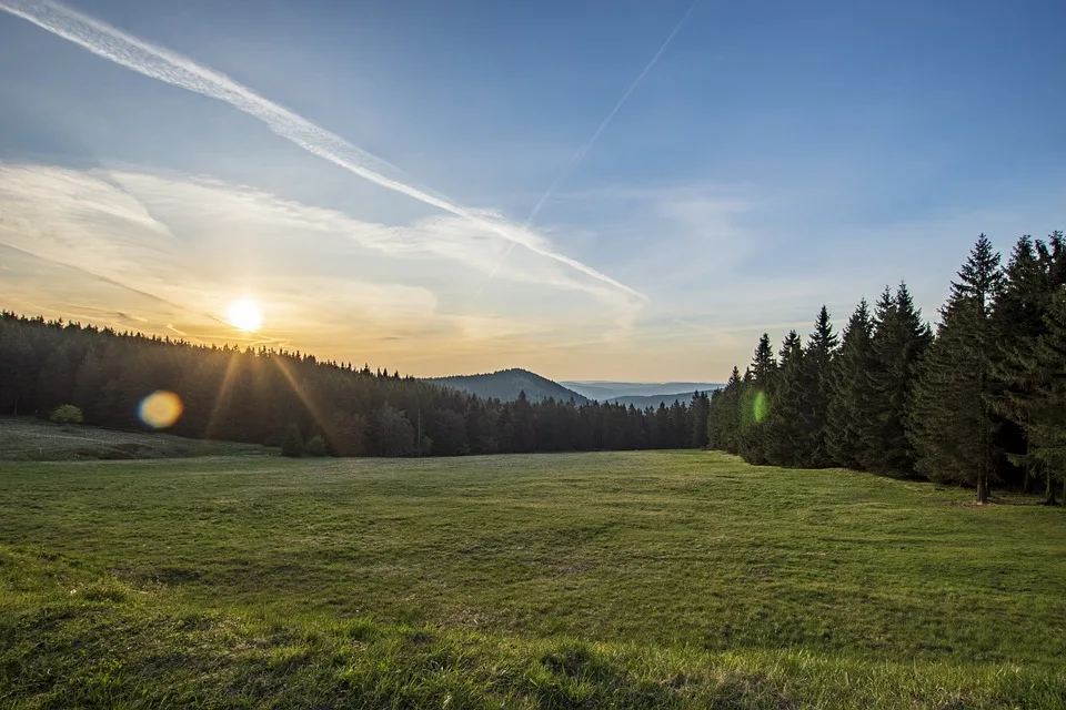 Insolvenzschock in Süd-Thüringen: 1.000 Jobs bei Autozulieferer gefährdet!