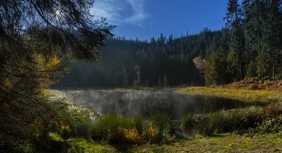 Jetzt mitmachen! Der große Orts-Check im Schwarzwald-Baar-Kreis läuft!