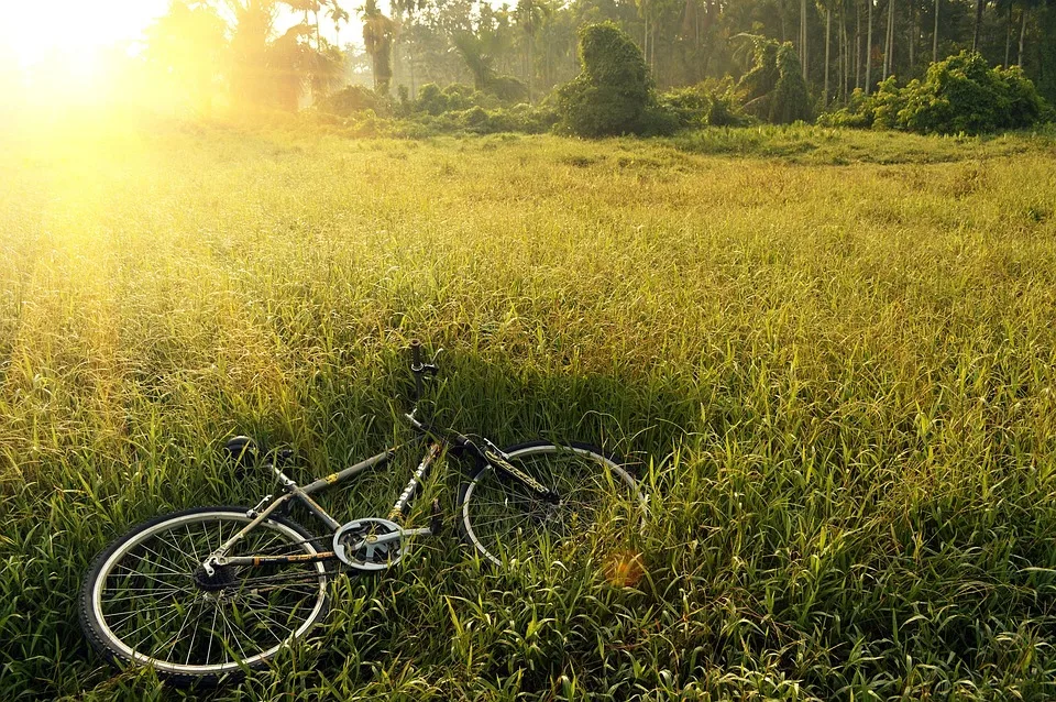 Jetzt zuschlagen: Riesige Rabatte bei Fahrrad XXL in Dresden!