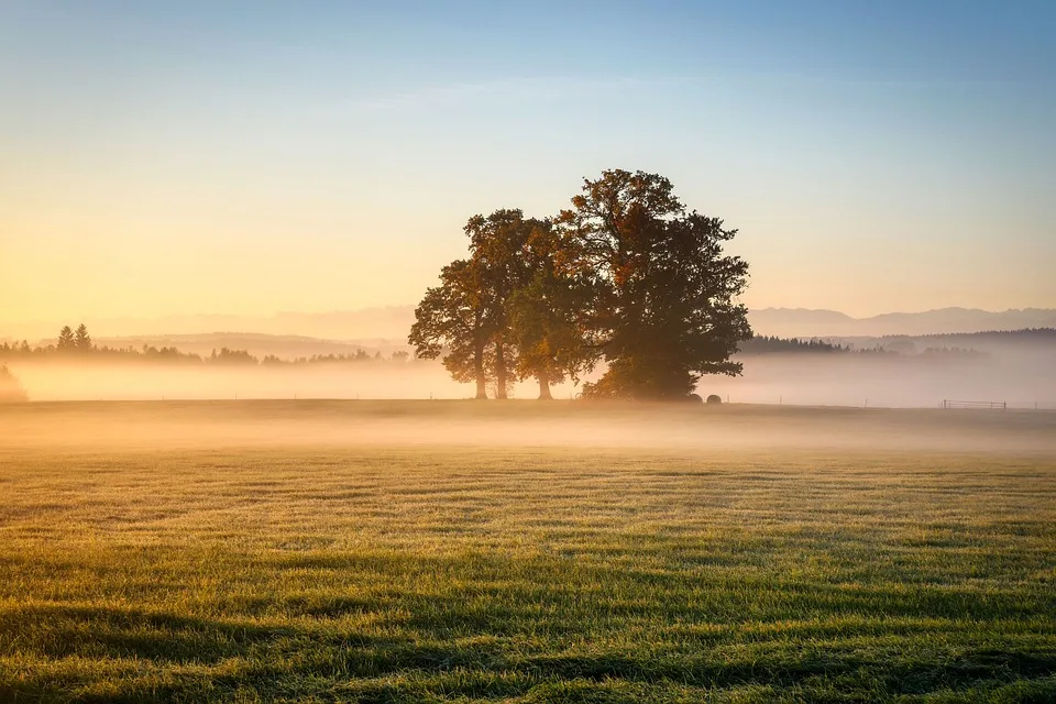 Kalte Tage in Rheinland-Pfalz: Kommt der Altweibersommer zurück?