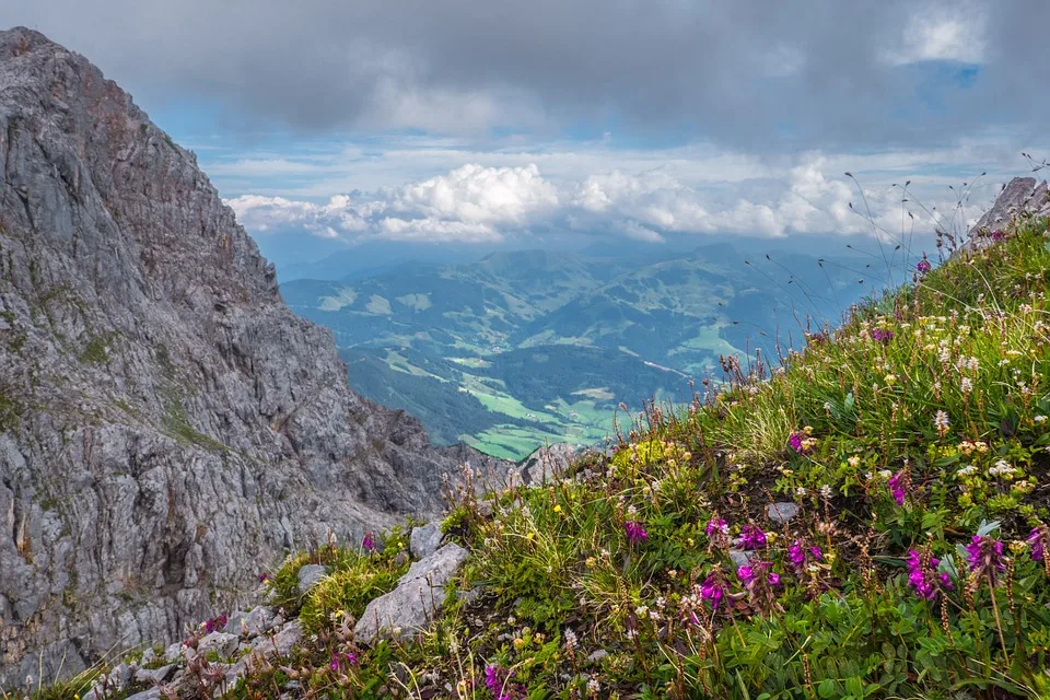 Kampf ums Land: Merz warnt vor Rechtsruck – Woidke setzt auf Weltoffenheit!