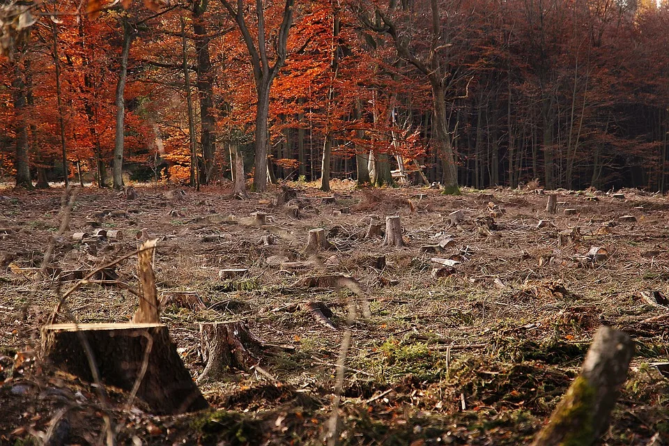 Klarheit für Langenpreising: Ausbaggerung der Dorfstrogen startet im Oktober