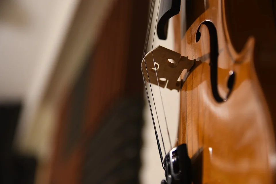 Klassische Klänge für alle: SWR Sinfonieorchester tourt im Bodenseekreis!