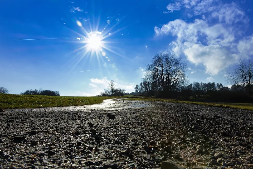 Klimaschutz im Fokus: Bewerbungen für den KlimaPreis 2024 in Coesfeld!