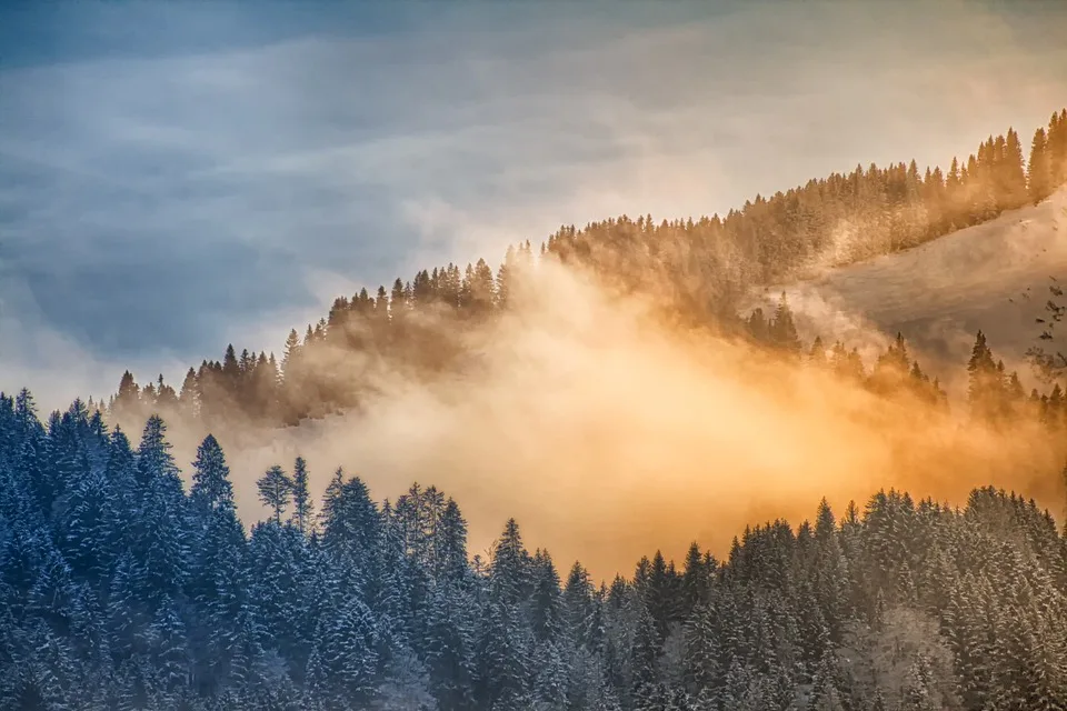 Langwedel freut sich auf den großen Wintermarkt – Jetzt anmelden!