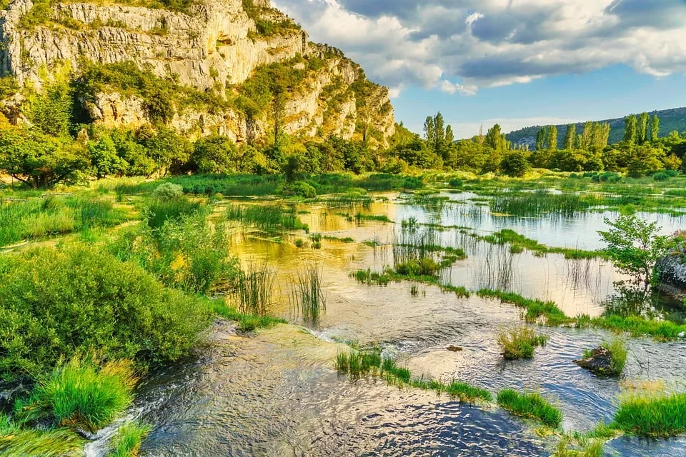 Lecker am Fluss: Kulinarische Entdeckungsreise in Senheim!