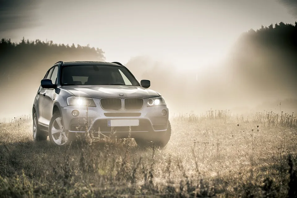 Litauer mit BMW aufgehalten: Festnahme bei Autobahnkontrolle in Görlitz!