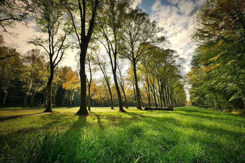 Löhne verwandelt: Bürgerpark anstelle von Schwarzbausiedlung geplant