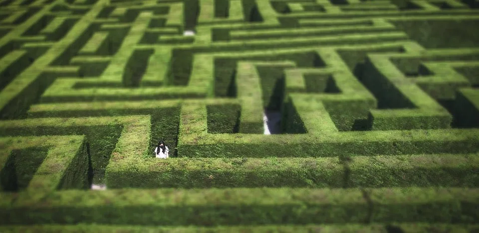 Mais-Labyrinthe in der Schwäbischen Alb: Spaß für die ganze Familie!