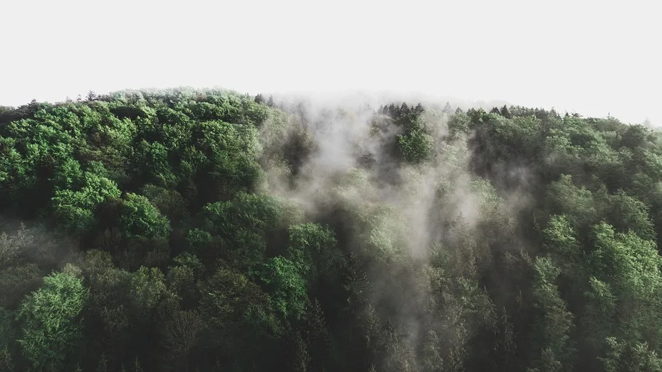 Müllchaos und Dieselklau: So gefährdet die Umwelt im Landkreis Schwäbisch Hall!