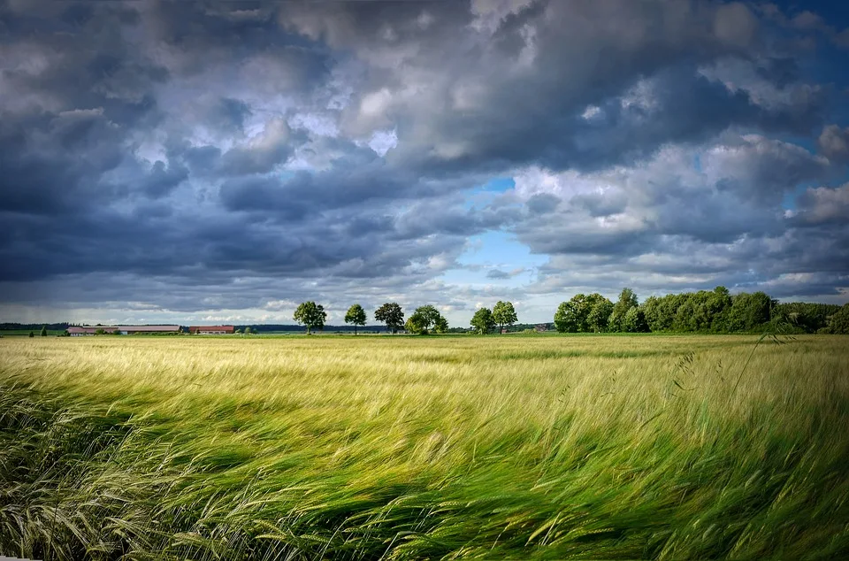 Nabu schlägt Alarm: Zu wenig Abstand für Windkraft an Naturschutzgebieten!