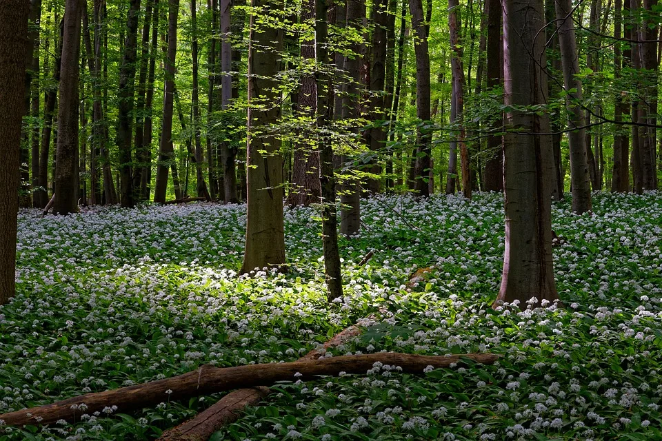 Nach Blitzeinschlag: Thüringer Waldbahn verkehrt wieder planmäßig