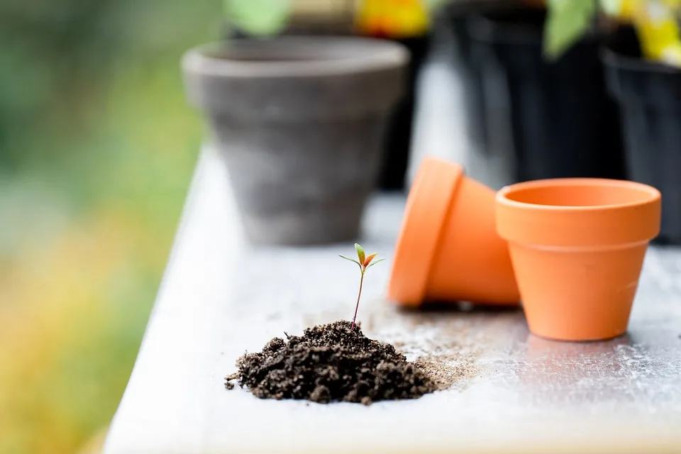 Nachhaltige Gartengestaltung: Expertenrat von Ronald Hormann in Burgdorf!