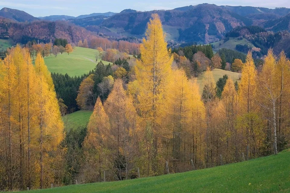 Natur erleben: 12.000 Euro für Kinder im Bayerischen Wald!