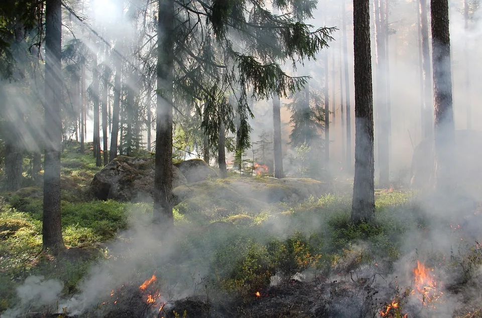 Nellingen in Flammen: Landwirtschaftliche Halle komplett abgebrannt!