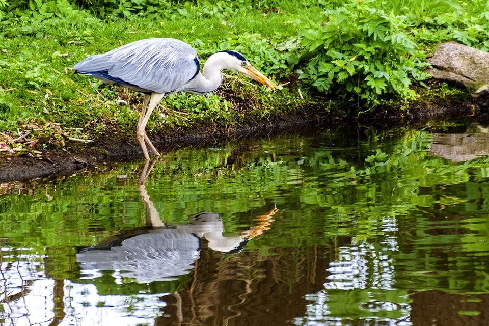 Neubrandenburg: Prozess gegen Rentner wegen Pipeline-Aktivismus gestartet