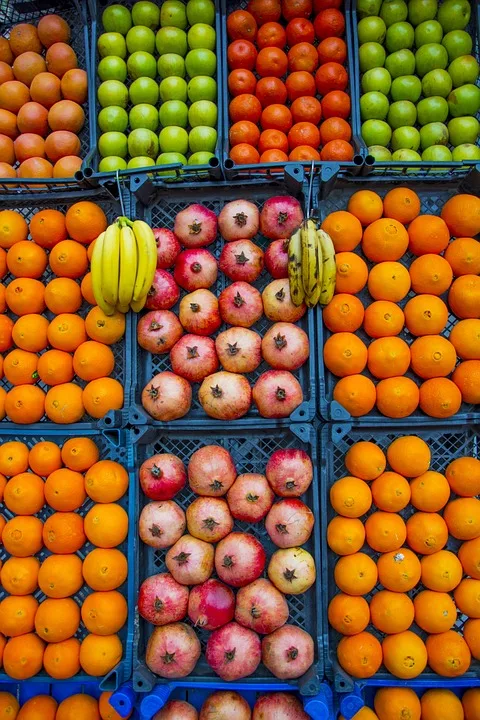 Neue Supermarkt-Kette  Delfo : Tiefkühlprodukte neu definiert in Deutschland