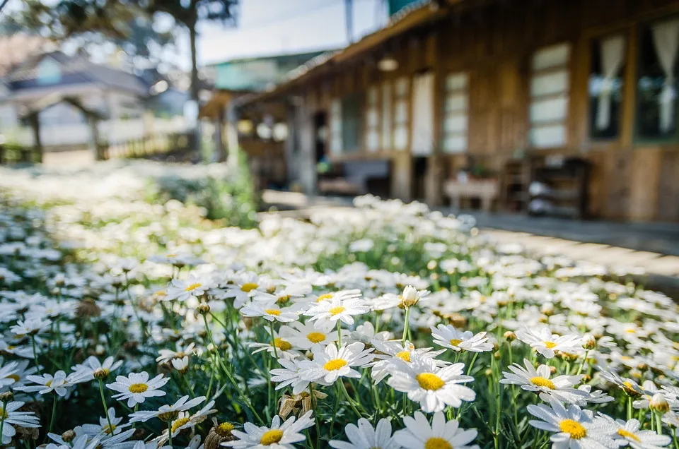 Neuer Garten der Wildpflanzen: Vielfalt für Hamburgs Parkbesucher!