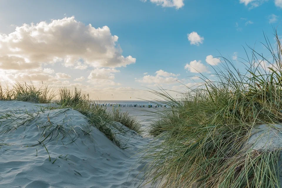 Ostfriesland und Japan: Überraschende Gemeinsamkeiten im Alltag