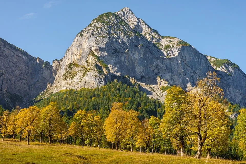 RECKEN-Wald: 2.140 neue Bäume dank sportlicher Fan-Aktion!