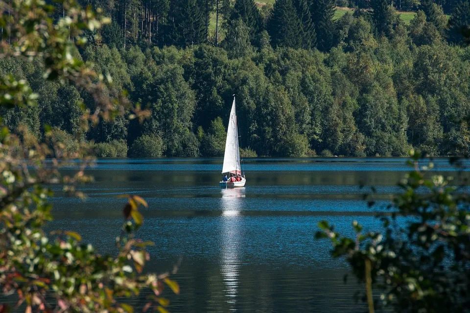 Schluchsee: Warnung vor giftigen Blaualgen – Badeverbot verhängt