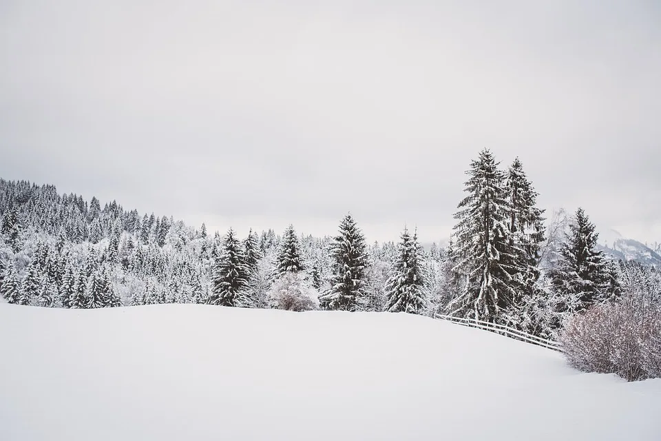 Schneewüste im September: Ein Meter Neuschnee erwartet Bayern!