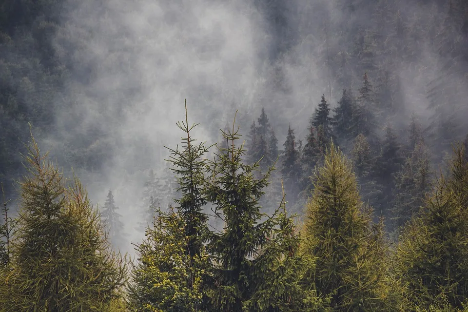 Schneller Großeinsatz: Waldbrand zwischen Stein und Trausnitz unter Kontrolle