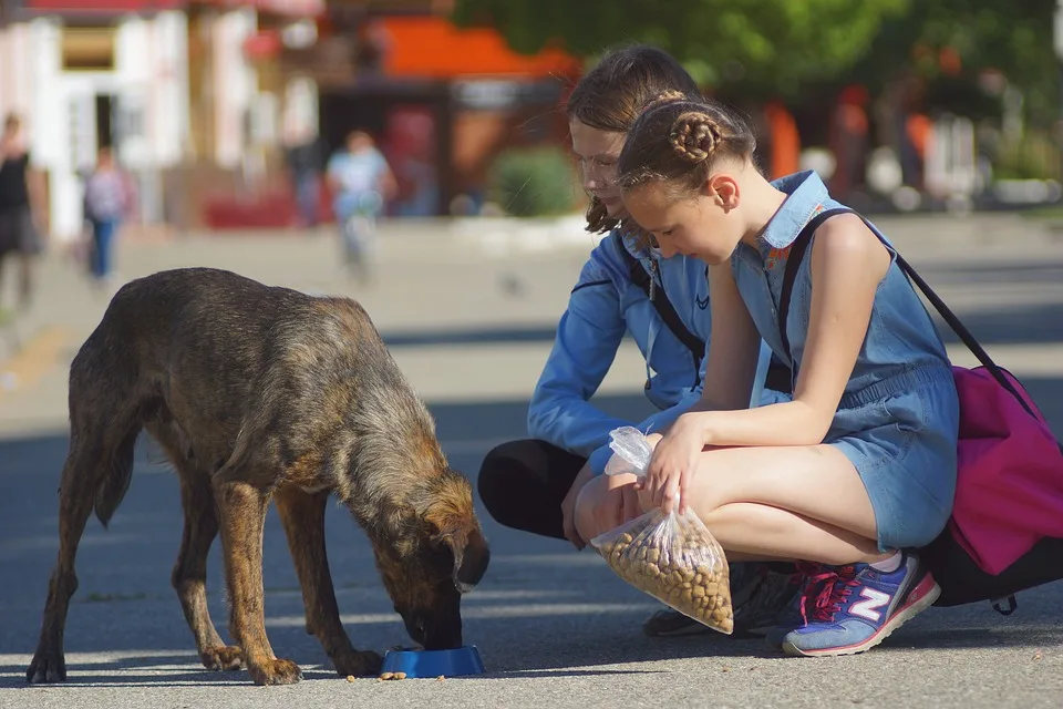 Schwandorfer Charitylauf: 1.102 Läufer setzen Zeichen der Solidarität!